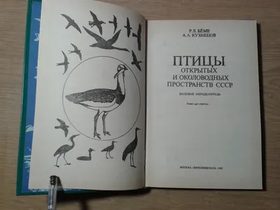 Мы рады объявить о выходе полевого определителя «Птицы Камчатки и  Командорских островов» — Командорский