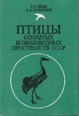 Смотреть слайды Птицы. Отряд воробьеобразные. Общая характеристика