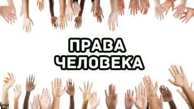 Сегодня Международный день прав человека - Уполномоченный по правам человека  в городе Москве