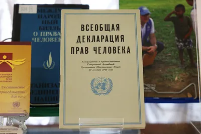 Бесплатные шаблоны плакатов Защита прав человека | Скачать дизайн и макет  для постеров о правах человека онлайн | Canva