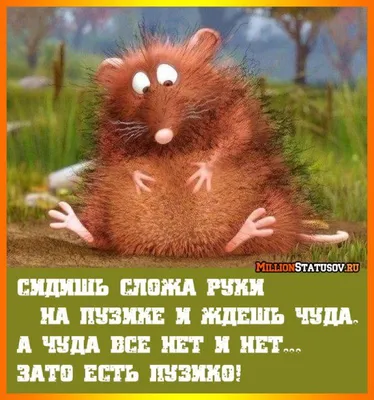 Пузико в помощь!