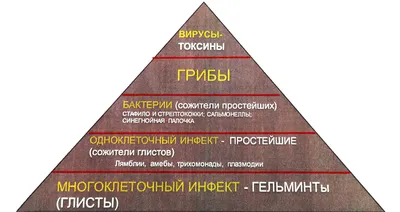 Гельминтозы у детей: симптомы, причины, лечение и признаки глистов у ребенка