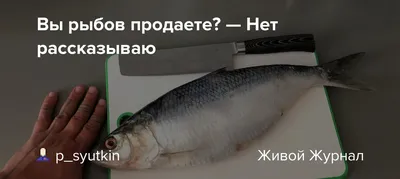 Вьетнам расширил список экспортеров рыбы и морепродуктов из России |  Ветеринария и жизнь