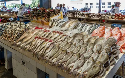 Купить рыба охлажденная Тверь оптом и в розницу по низкой цене