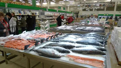 Купить рыба охлажденная Тверь оптом и в розницу по низкой цене