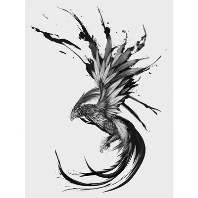 Тату птица феникс значение для девушек: что скрывает в себе феникс |  Phoenix tattoo, Phoenix tattoo design, Calligraphy tattoo