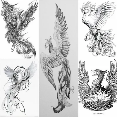 Тату птицы. Татуировка с птицей для девушки. 100+ татуировок и эскизов на  нашем сайт… | Татуировка перо, Татуировки с изображением феникса,  Вдохновляющие татуировки