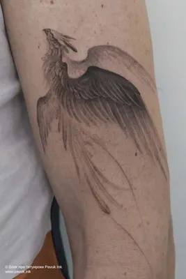 Таинственное значение тату феникс для девушек | tattoo-sketches.com | Дзен