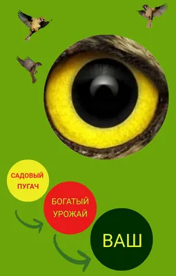 Отпугиватель птиц визуальный \"Пугач\" - купить с доставкой по выгодным ценам  в интернет-магазине OZON (964995363)