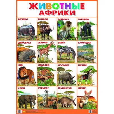 Купить MPZCAN20-M Collection ANIMALS. Животные Африки.200 деталей. Размер  20,5 х 29см. Средний размер детал Пазлы и 3Д пазлы - цена от 581 ₽ в  Симферополе