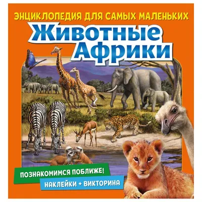 Венценосный орел — самая опасная птица Африки, которая нападает даже на  человека