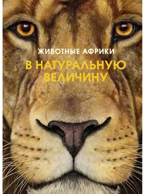 Животные Африки, вольер животных, Большая Грузинская ул., 8, стр. 10,  Москва — Яндекс Карты