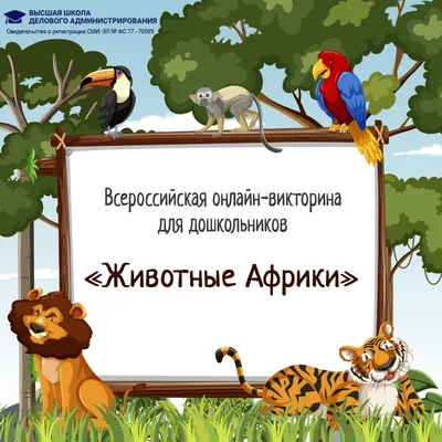 Блог - Венценосный орел — самая опасная птица Африки, которая нападает даже  на человека | Домашние птицы, Красивые птицы, Дикая птица