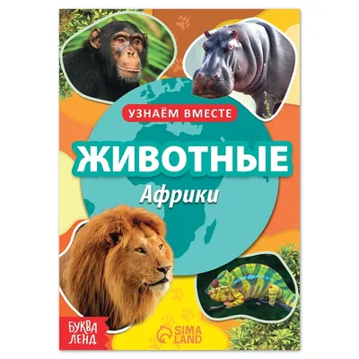 Животный мир Африки. Как говорят животные? Слушаем звуки. Развивающие  мультики. - YouTube