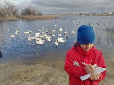 Из Анапы в парк живой природы До-До для детей и взрослых 🧭 цена экскурсии  5000 руб., 10 отзывов, расписание экскурсий в Анапе