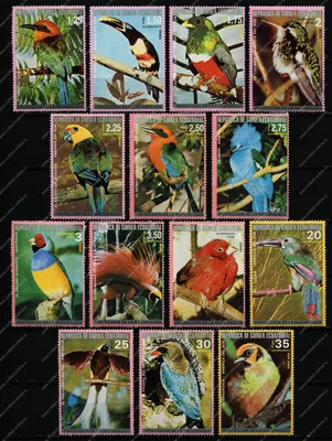 Птицы ботанического сада - 72 фото