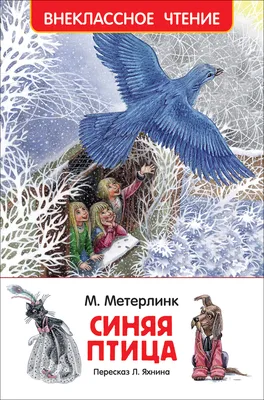 Челябинск атаковали большие хищные птицы — видео