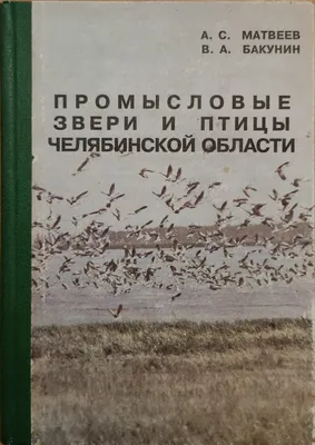 Дидактические карточки \"Городские птицы\" МГП-9078 в Челябинске |  CLEVER-TOY.RU