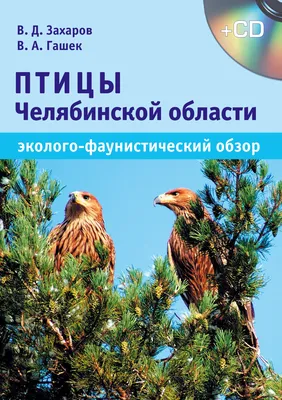 В Челябинской области заметили скрытных птиц, которые могут кричать на весь  лес