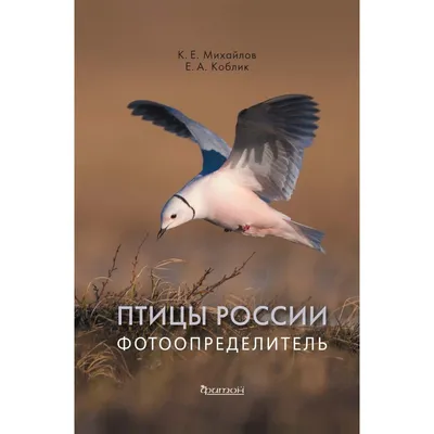 Цель – уничтожить Россию до последней птицы. Как довести политику Эстонии  до логического завершения? | Baltnews | Дзен