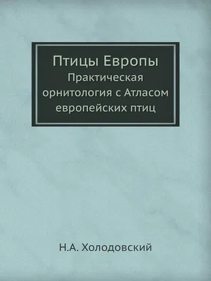 Птицы Европейской части России | Facebook