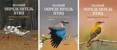 Животные и птицы Европы (Василий Климов) - купить книгу с доставкой в  интернет-магазине «Читай-город». ISBN: 978-5-99-302546-9