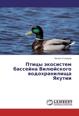 Итоги открытого дистанционного конкурса рисунков «Птицы Якутии» | МБУК  «РЦКРиНТ»