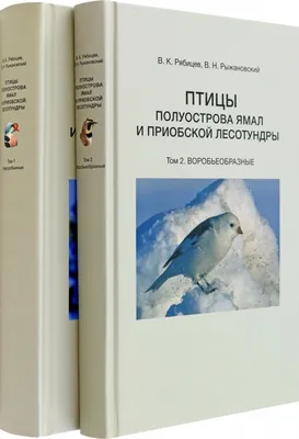 Ямальские ученые обнаружили нехарактерные для региона виды птиц | Ямал-Медиа