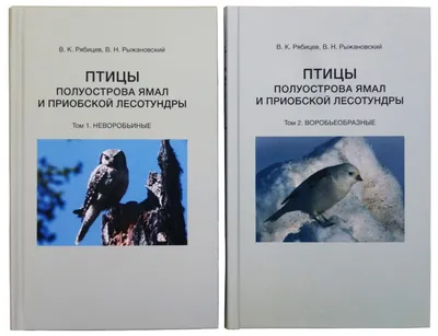 На Ямале стало больше краснокнижных птиц, вьющих гнезда на мостах | Ямал -Медиа