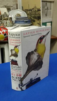 Японская амадина - Сайт государственного учреждения Тульской области  «Тульский областной экзотариум»