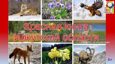Какие птицы появились в Омской области, а акие исчезли