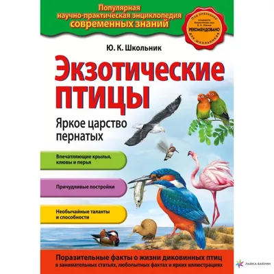 Браконьеры вывезли из Украины полмиллиона диких птиц - Вокруг Света