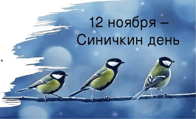 Жительница Ханты-Мансийска спасает попавших в беду птиц - Новости ХМАО Югры,  17.02.2022 - ГТРК Югория