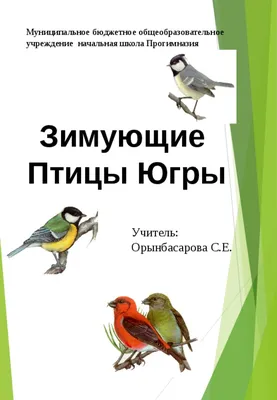 Птицы Югры Фото — Картинки