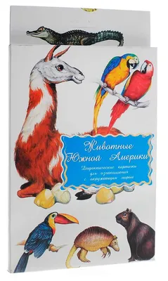 Плакат. Животные Южной Америки (550х770) — купить книги на русском языке в  DomKnigi в Европе