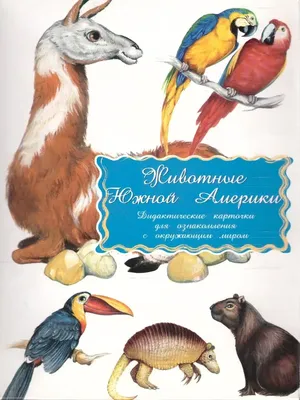 Иллюстрация 6 из 9 для Дидактические карточки \"Животные Южной Америки\" |  Лабиринт - игрушки. Источник: Zakatnoe Solnce