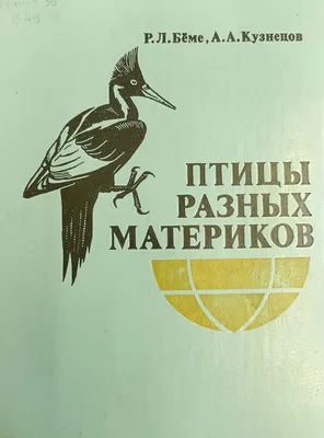 Палех официально признан Родиной Жар-птицы - Новости - «Призыв»,  Общественно-политическая газета посёлка Палех и Палехского района Ивановской  области