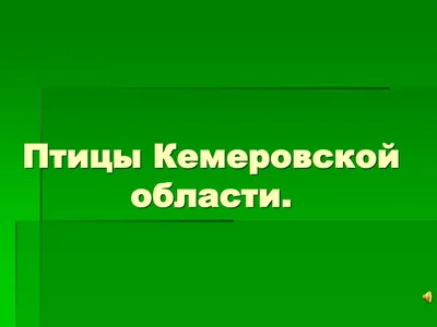 Какие птицы появились в Омской области, а акие исчезли