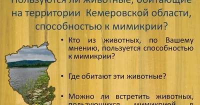 PPT - Удивительный мир растений и животных Кемеровской области. PowerPoint  Presentation - ID:4982921