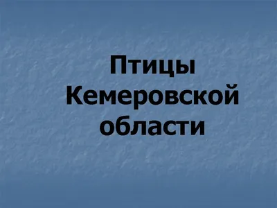 Над кем смеются пересмешники? Забавные факты о птицах-пародистах | ТРЕТИЙ  ОРЕШЕК | Дзен