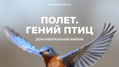 Томская писаница - Природа музея-заповедника