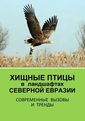 Купить 2020 КПД Хищные птицы Украины Фауна №1852-1859