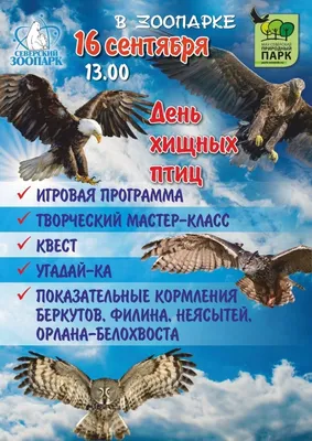 В Кыргызстане предлагают утвердить Правила содержания и использования  ловчих хищных птиц – K-News