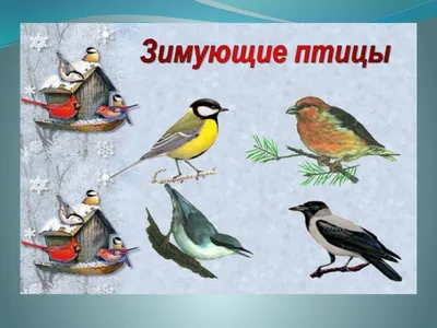 В ХМАО сезон охоты на птиц откроется через три недели — Сетевое издание  Вестник - Новости Сургутского района и Югры