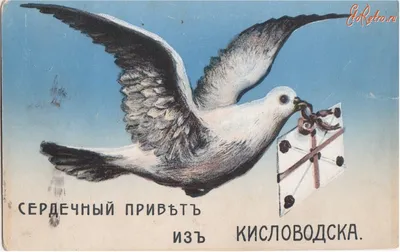 1 апреля отмечается международный день птиц | 31.03.2017 | Кисловодск -  БезФормата