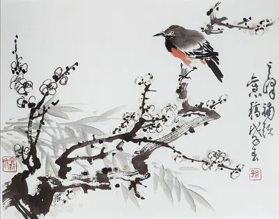 Птицы и цветы вишни на востоке Китая _russian.china.org.cn