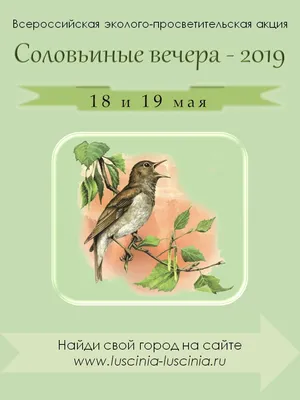 Жителям Курганской области рассказали, как правильно кормить птиц зимой - 5  декабря 2021 - 45.ru