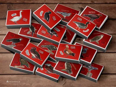 Этикетки «Птицы Красной книги Курганской области». Хищные птицы -  Метакурган — авторский сувенир Кургана.