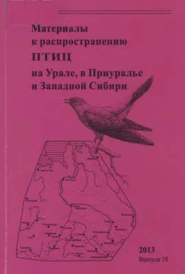 Волгоградцам рассказали, какие птицы прилетают в город на зимовку -  Волга-медиа