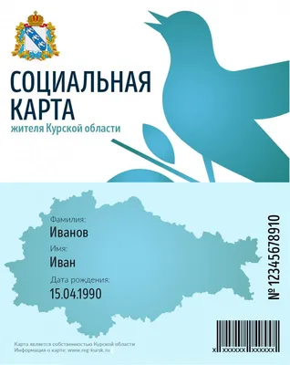 В Курской области Екатерина Гладских повстречала 132 вида птиц за 2023 год  | Информационный портал KURSKCiTY.RU